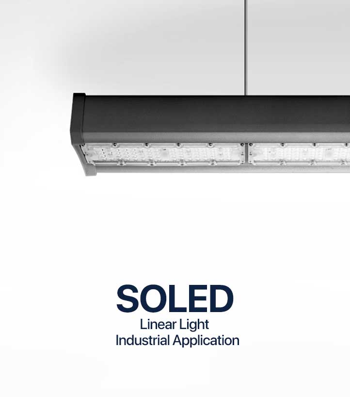 Soled_Linear (1)